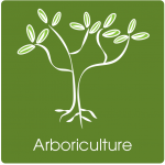 arboriculture