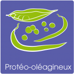 proteo-olagineux