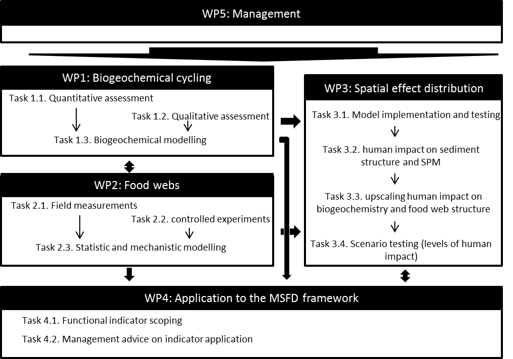 FaCE-It work packages Facitscheme