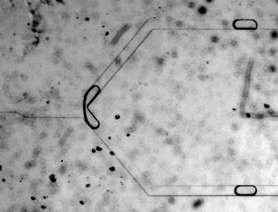 Splitting of a droplet in a Y-junction